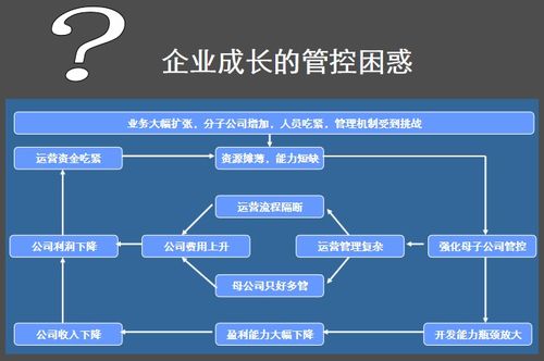 房地產企業集團管控模式與總部管理之道